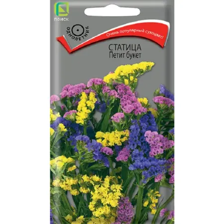 Семена цветов статица Петит букет