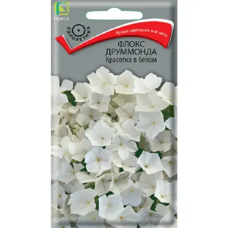 Семена цветов флокс друммонда Красотка в белом