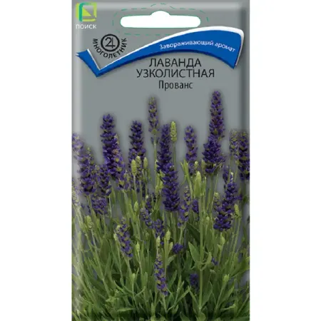 Семена цветов лаванда узколистная Прованс
