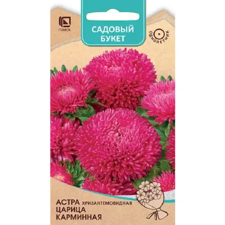 Семена цветов астра хризантемовидная Царица карминная