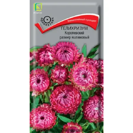 Семена цветов гелихризум Королевский размер малиновый пленка упаковочная 70 200см сердце малиновый инд уп