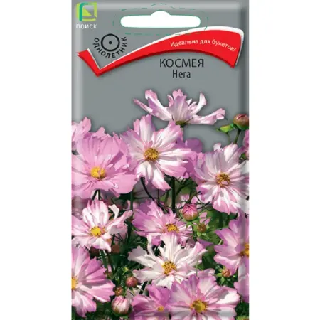 Семена цветов космея Нега 10 шт