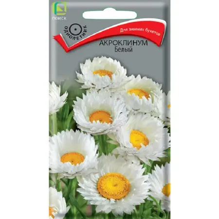 Семена цветов акроклинум белый