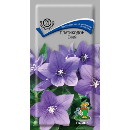 Семена цветов платикодон синий