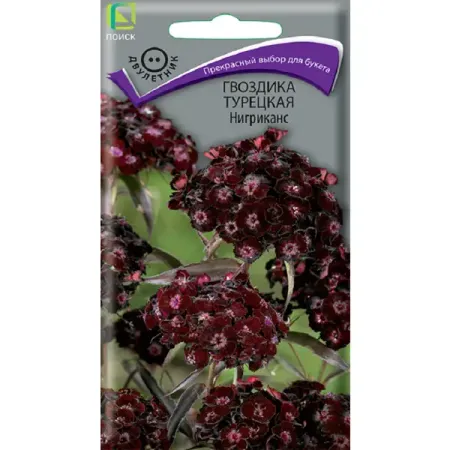 Семена цветов гвоздика Турецкая Нигриканс