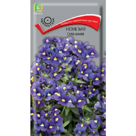 Семена цветов немезия Соло синяя