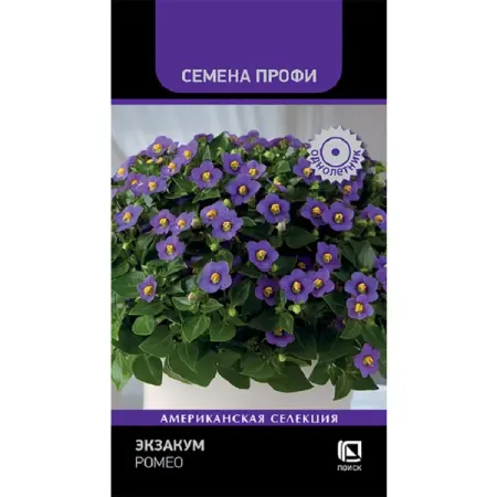 Семена цветов Профи экзакум Ромео 5 шт драган барлов луис берналь реньер васкес игарса ромео альфонсо ольмес магнус карлсен 30 учебных шахматных партий