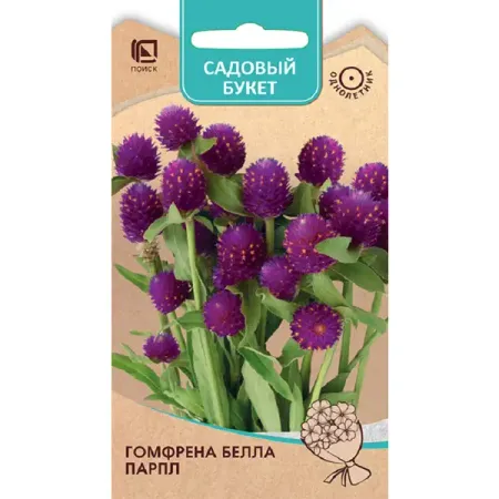 Семена цветов гомфрена Белла Парпл 10 шт