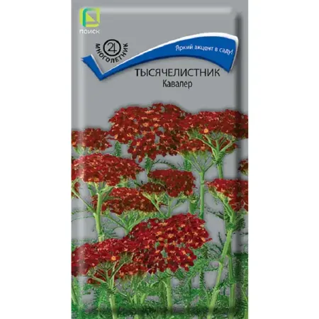 Семена цветов тысячелистник Кавалер юрий константинов тысячелистник кипрей природные лекарства