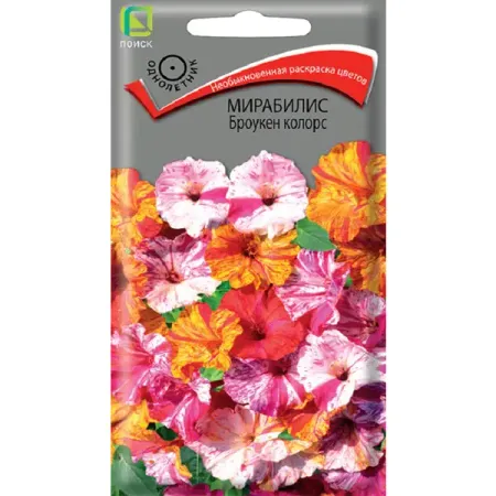 Семена цветов мирабилис Броукен Колорс