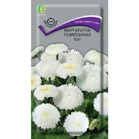Семена цветов маргаритка помпонная Вайт