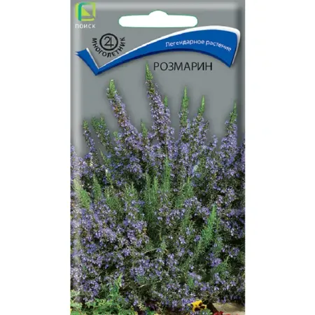 Семена цветов розмарин