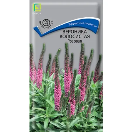 Семена цветов вероника колосистая розовая