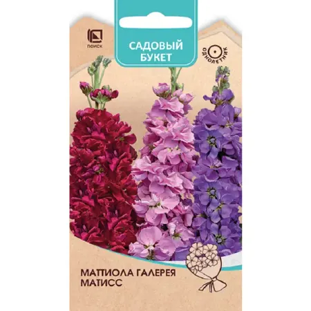 Семена цветов маттиола Галерея Матисс