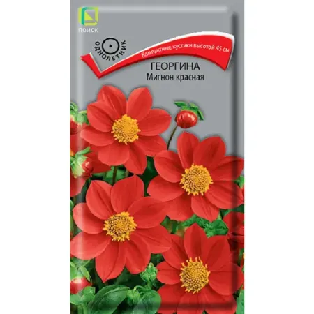 Семена цветов георгина Мигнон красная