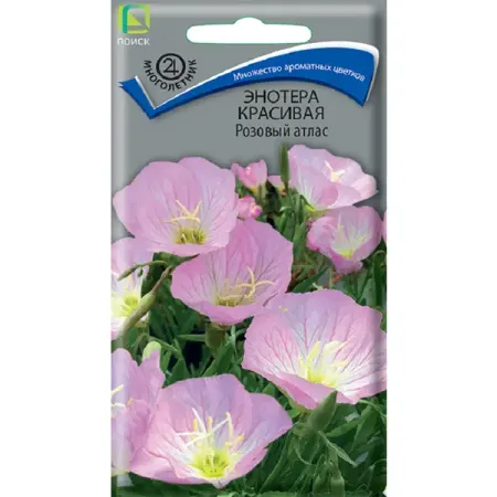 Семена цветов энотера красивая Розовый атлас