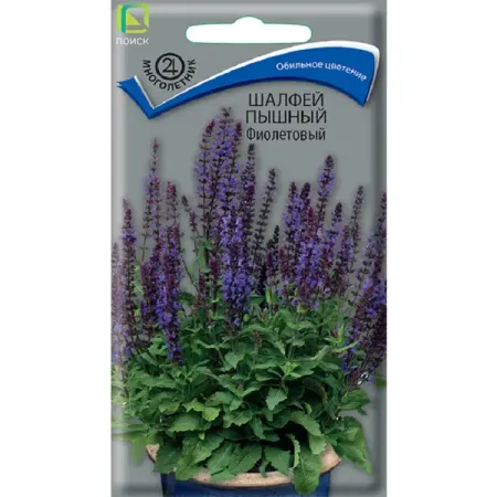 Семена цветов шалфей пышный фиолетовый