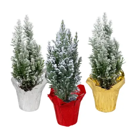 Кипарис Элвуди в снегу ø9 h35 см сергей и венедов следы на снегу глядя из за бугра