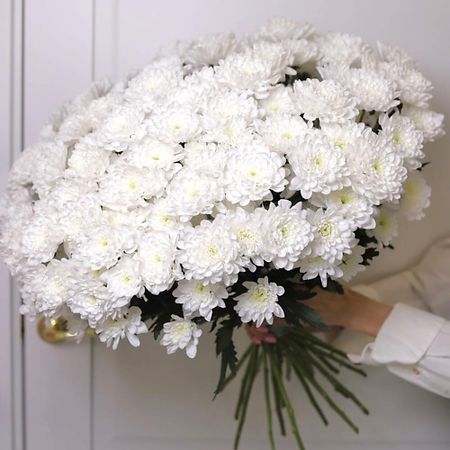 Букет живых цветов FLOWERS DE LUXE БУТИК ЦВЕТОВ И ПОДАРКОВ Воздушное облако из 25 кустовой сортовой махровой хризантемы скотч для декорирования sky city серии облако