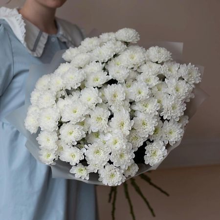 Букет живых цветов FLOWERS DE LUXE БУТИК ЦВЕТОВ И ПОДАРКОВ Пышный букет кустовой хризантемы 15 шт 