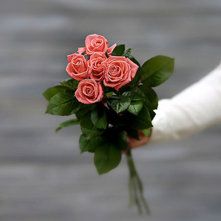 Букет живых цветов БУКЕТ МАРКЕТ ДАРИТЕ С УДОВОЛЬСТВИЕМ Букет из 5 коралловых роз (Россия) с лентой 50 см