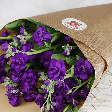 Букет живых цветов БУКЕТ МАРКЕТ ДАРИТЕ С УДОВОЛЬСТВИЕМ Букет из темно-фиолетовой маттиолы чайник zisha xishi из фиолетовой глины