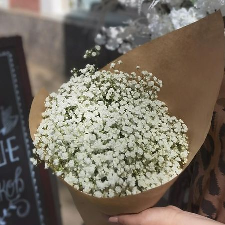 Букет живых цветов ШАРЛАНДИЯ ГРИНЛАНДИЯ Гипсофила в крафте