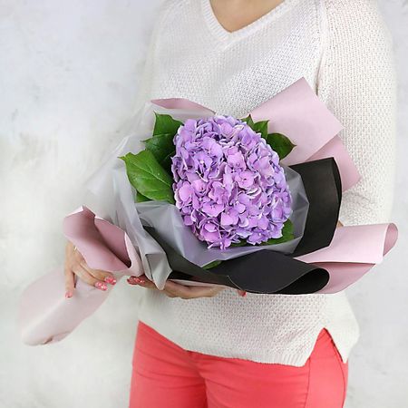 Букет живых цветов БУКЕТ МАРКЕТ ДАРИТЕ С УДОВОЛЬСТВИЕМ Оригинальный букет из гортензии и листьев салал в упаковке m24b111h mg01a оригинальный магнетрон для свч печи gorenje mo17e1w mo20a3x mo20a4w