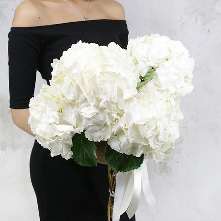 Букет живых цветов БУКЕТ МАРКЕТ ДАРИТЕ С УДОВОЛЬСТВИЕМ Букет из 5 белых гортензий искусственный букет гортензий из шелка
