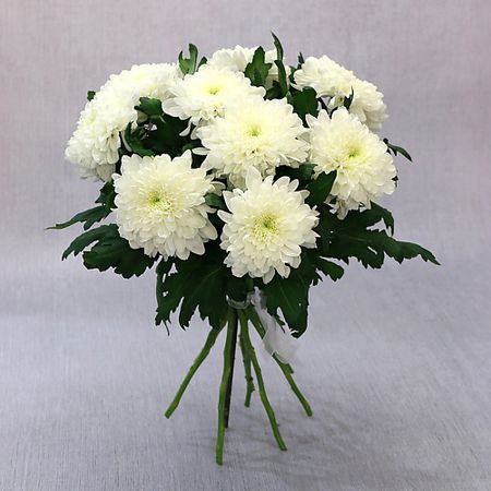 Букет живых цветов БУКЕТ МАРКЕТ ДАРИТЕ С УДОВОЛЬСТВИЕМ Букет из 9 белых хризантем