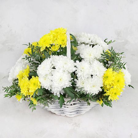 Букет живых цветов БУКЕТ МАРКЕТ ДАРИТЕ С УДОВОЛЬСТВИЕМ Композиция из кустовых хризантем с листьями фисташки в корзине подарочные пакеты с листьями эвкалипта fengrise