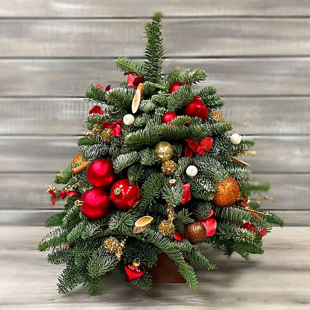 Букет живых цветов БУКЕТ МАРКЕТ ДАРИТЕ С УДОВОЛЬСТВИЕМ Ёлка новогодняя красная 40 см ель искусственная царь ёлка мила 45 см