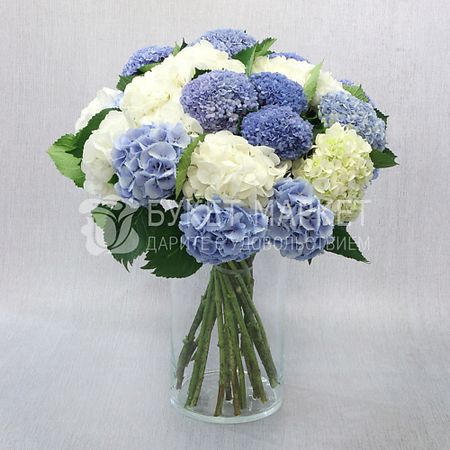 Букет живых цветов БУКЕТ МАРКЕТ ДАРИТЕ С УДОВОЛЬСТВИЕМ Букет из 25 белых и голубых гортензий искусственный букет гортензий из шелка