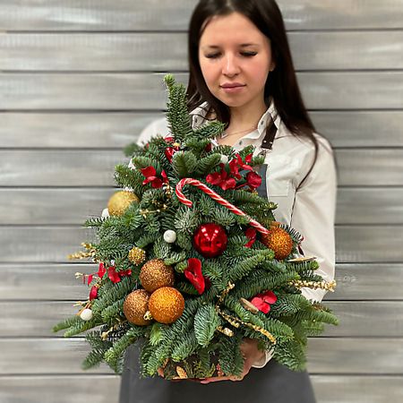Букет живых цветов БУКЕТ МАРКЕТ ДАРИТЕ С УДОВОЛЬСТВИЕМ Ёлка новогодняя красная 30 см ель искусственная царь ёлка мила 45 см