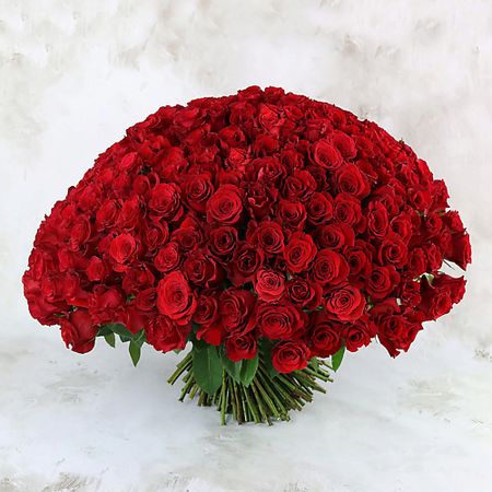 Букет живых цветов БУКЕТ МАРКЕТ ДАРИТЕ С УДОВОЛЬСТВИЕМ Букет из 251 красной розы - Ред наоми Россия 60 см.