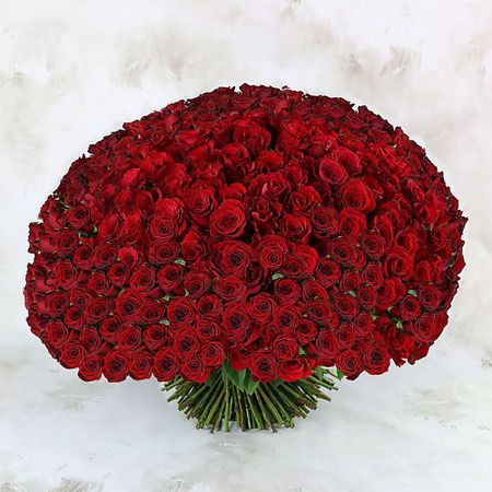 Букет живых цветов БУКЕТ МАРКЕТ ДАРИТЕ С УДОВОЛЬСТВИЕМ 301 красная роза Россия 60 см. памятная монета olevo россия санкт петербург красная