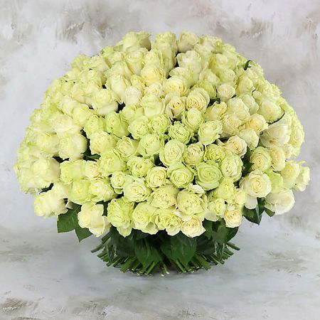 Букет живых цветов БУКЕТ МАРКЕТ ДАРИТЕ С УДОВОЛЬСТВИЕМ 251 роза - Аваланж Россия 60 см.