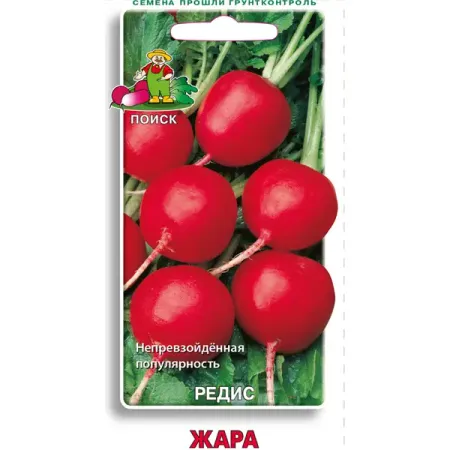 Семена Редис Жара Поиск