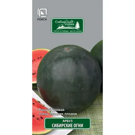 Семена Арбуз Сибирские огни Поиск