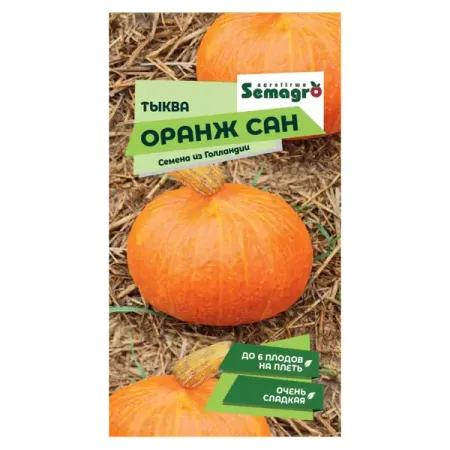 Семена плодово-ягодных растений тыква Оранж Сан