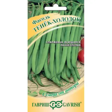 Семена овощей Гавриш фасоль зеленая Тенек-холодок