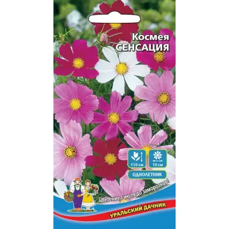 Семена цветов Уральский дачник космея Сенсация