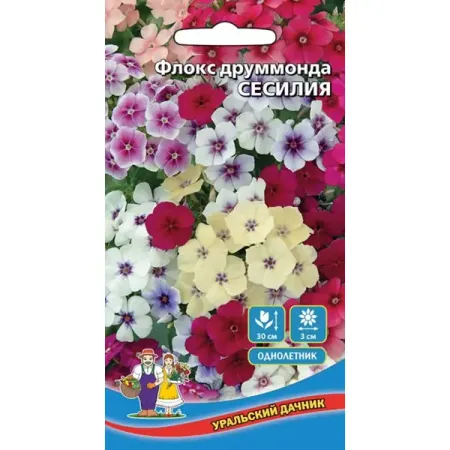 Семена цветов Уральский дачник флокс Друммонда Сесилия