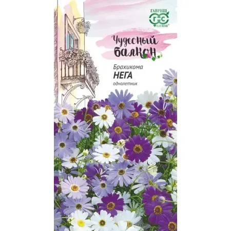 Семена цветов Гавриш Чудесный балкон брахикома Нега