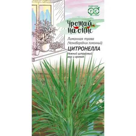 Семена овощей Гавриш Урожай на окне челнобородник Цитронелла