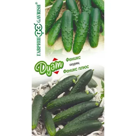 Семена овощей Гавриш огурец Феникс и Феникс плюс