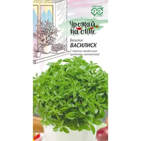 Семена зелени Гавриш Урожай на окне базилик Василиск