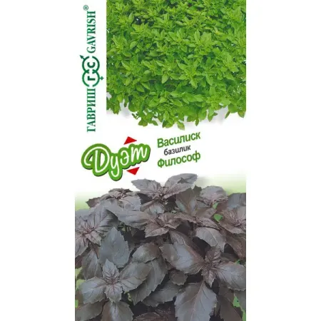 Семена зелени Гавриш базилик Василиск и Философ