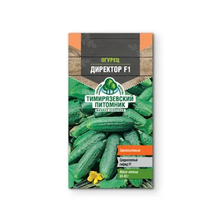 Семена овощей Tim огурец ранний Директор F1 4 шт. жанна юрьевна бочманова школа 13 бессмертный директор