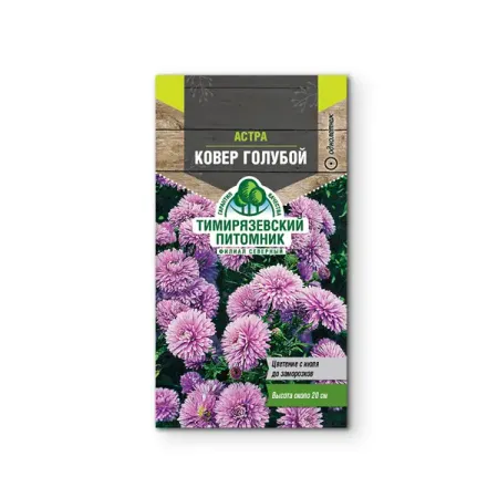 Семена цветов Tim астра низкорослая